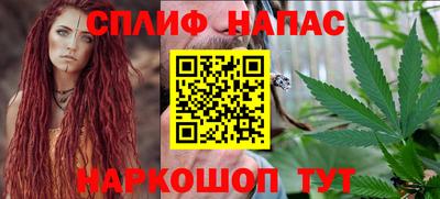 СК Дубна
