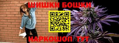 СК Дубна